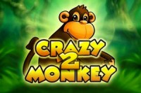 Crazy Monkey 2